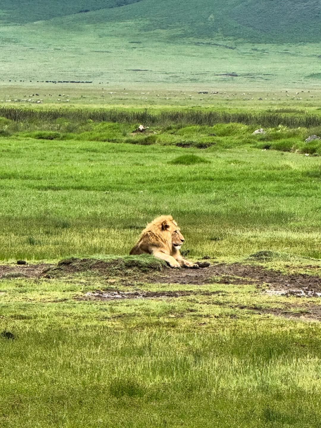 Ngorongoro 2-Day Trip: Sunrise on the Rim - Image 6