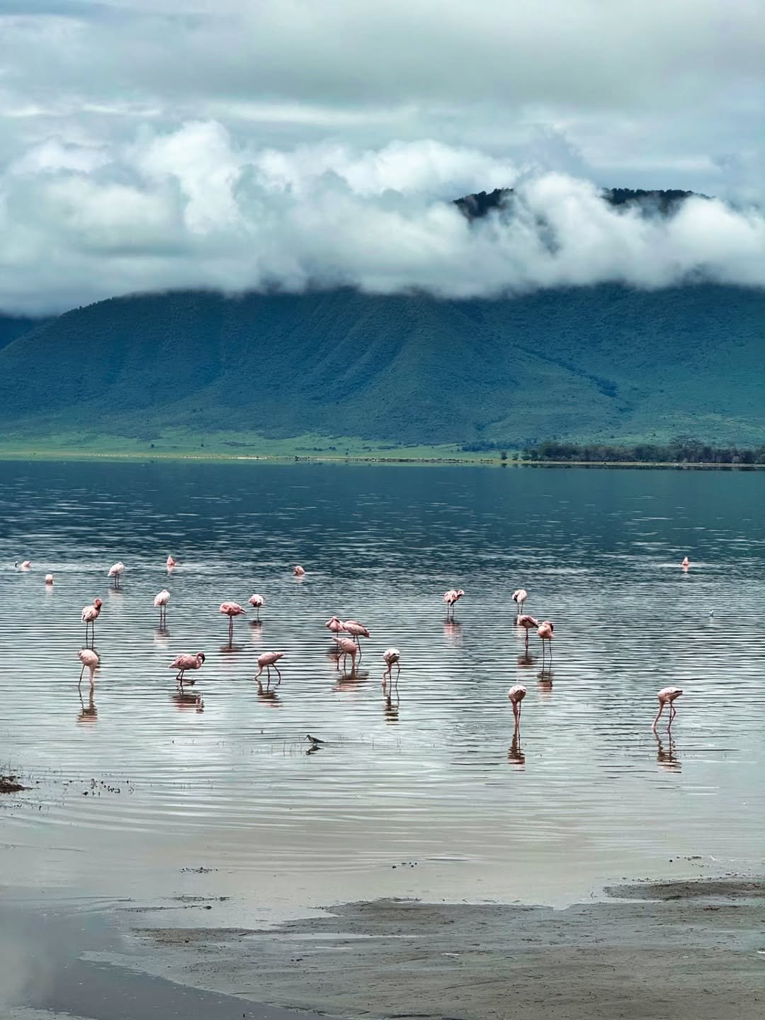 Ngorongoro 2-Day Trip: Sunrise on the Rim - Image 7