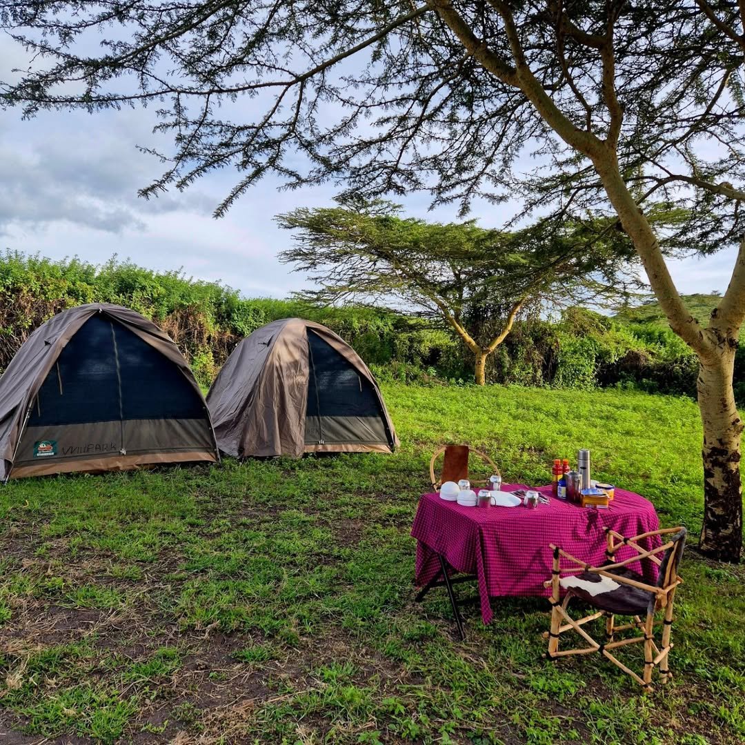 Crater World: Ngorongoro, Empakaai and Crater Floor Safari - Image 6