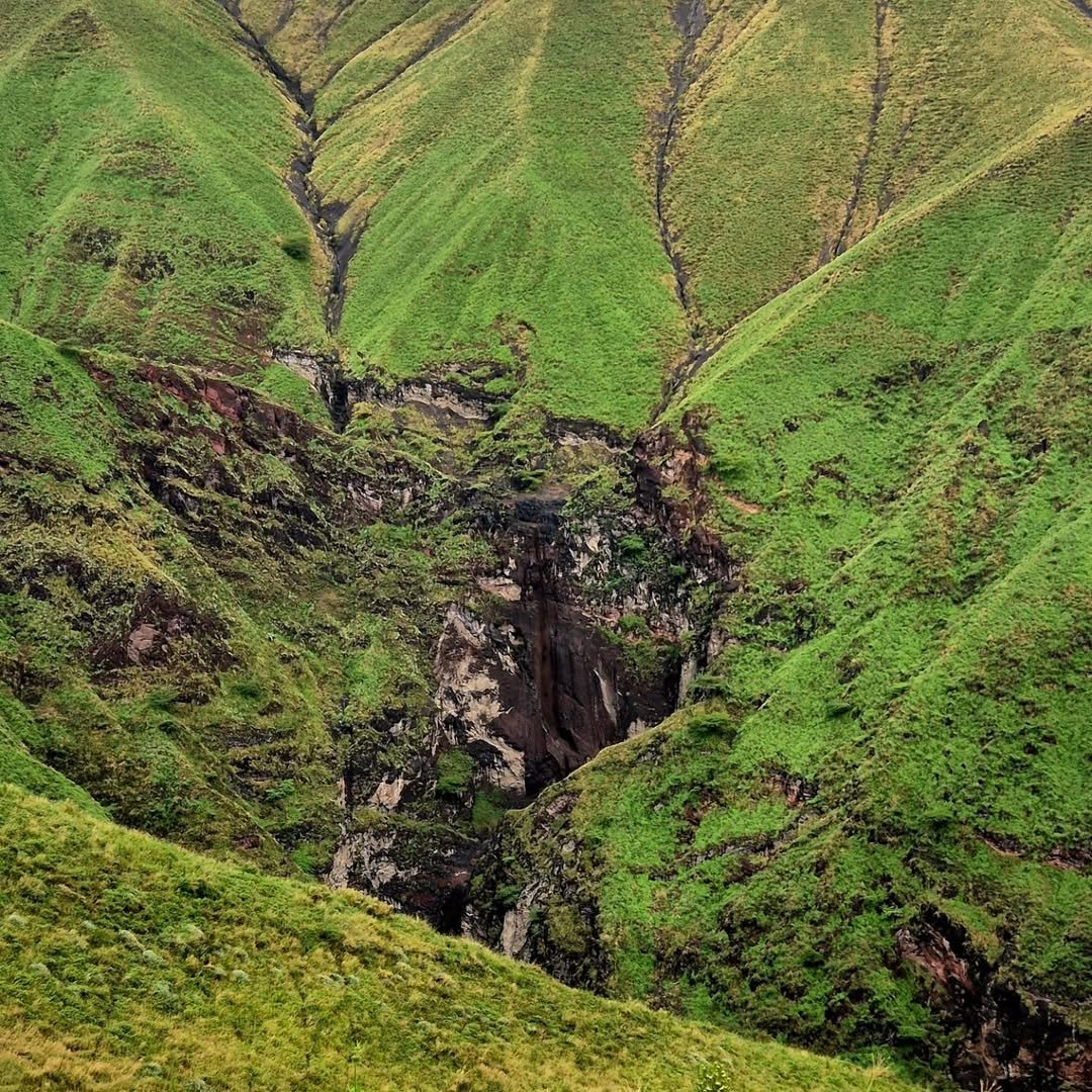 Crater World: Ngorongoro, Empakaai and Crater Floor Safari - Image 11