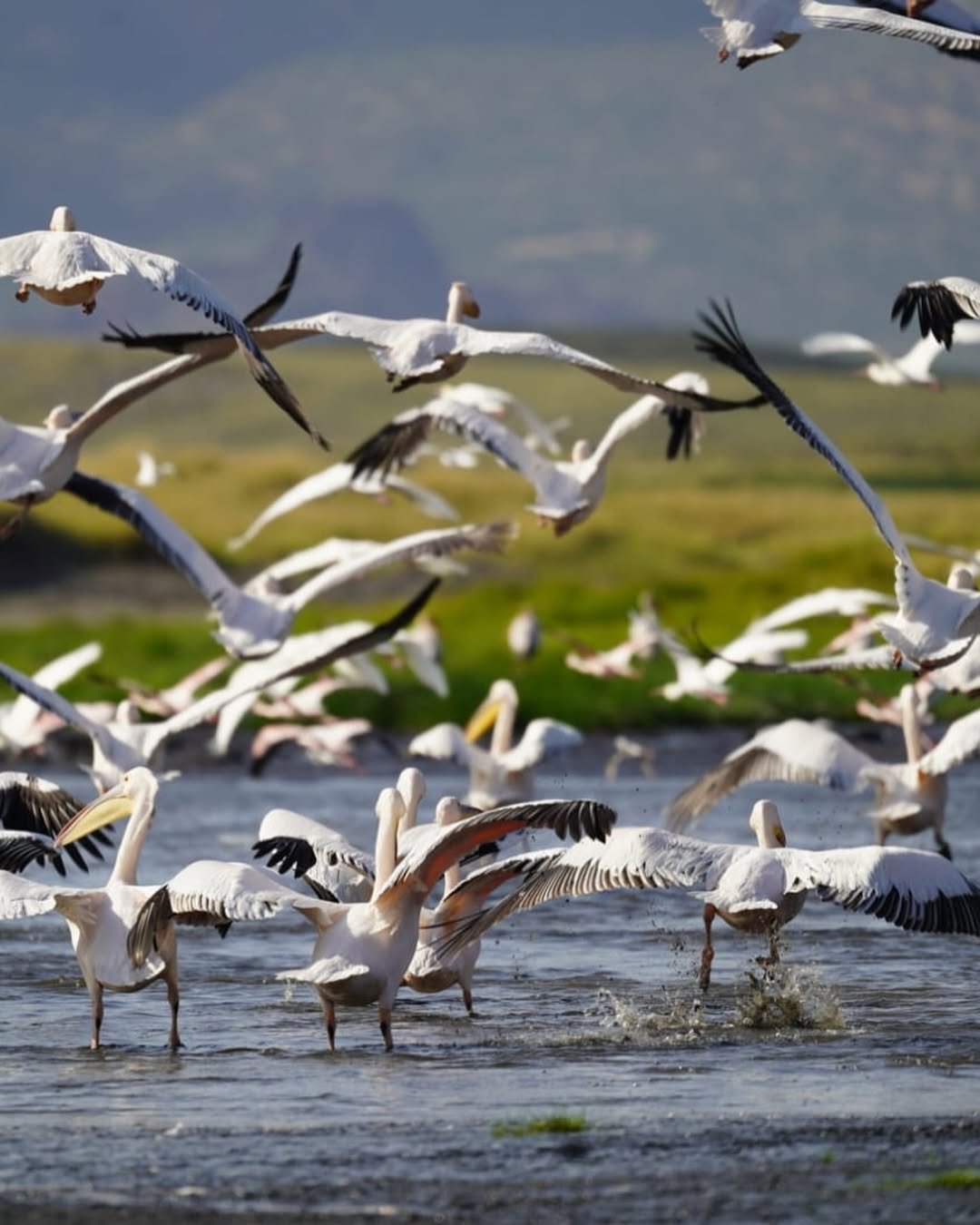 Lake Natron: Ol Doinyo Lengai Hike & Flamingo Walks - Image 6