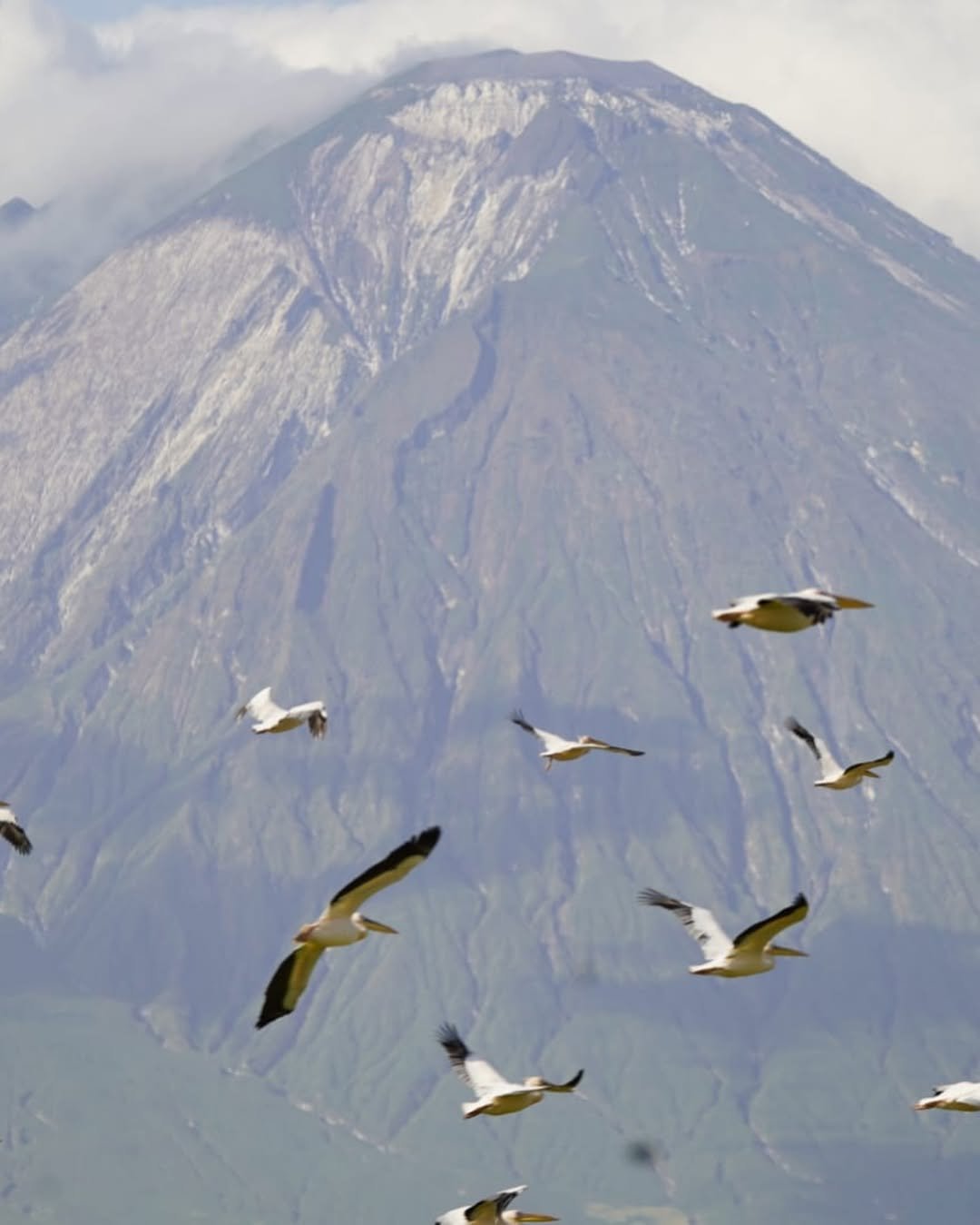 Lake Natron: Ol Doinyo Lengai Hike & Flamingo Walks - Image 7