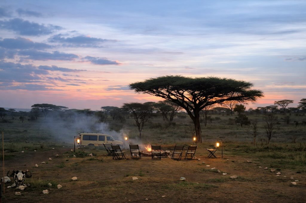 Classic Safari to Manyara, Ngorongoro & Serengeti - Image 7