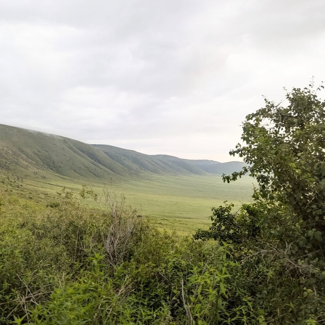 6-Day Manyara, Ngorongoro & Serengeti - Image 6