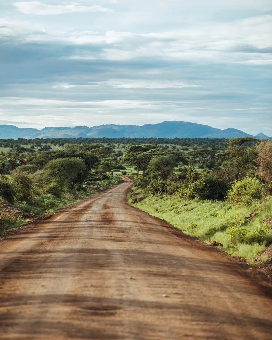 7-Day Tarangire, Lake Natron & Ngorongoro Crater - Image 2