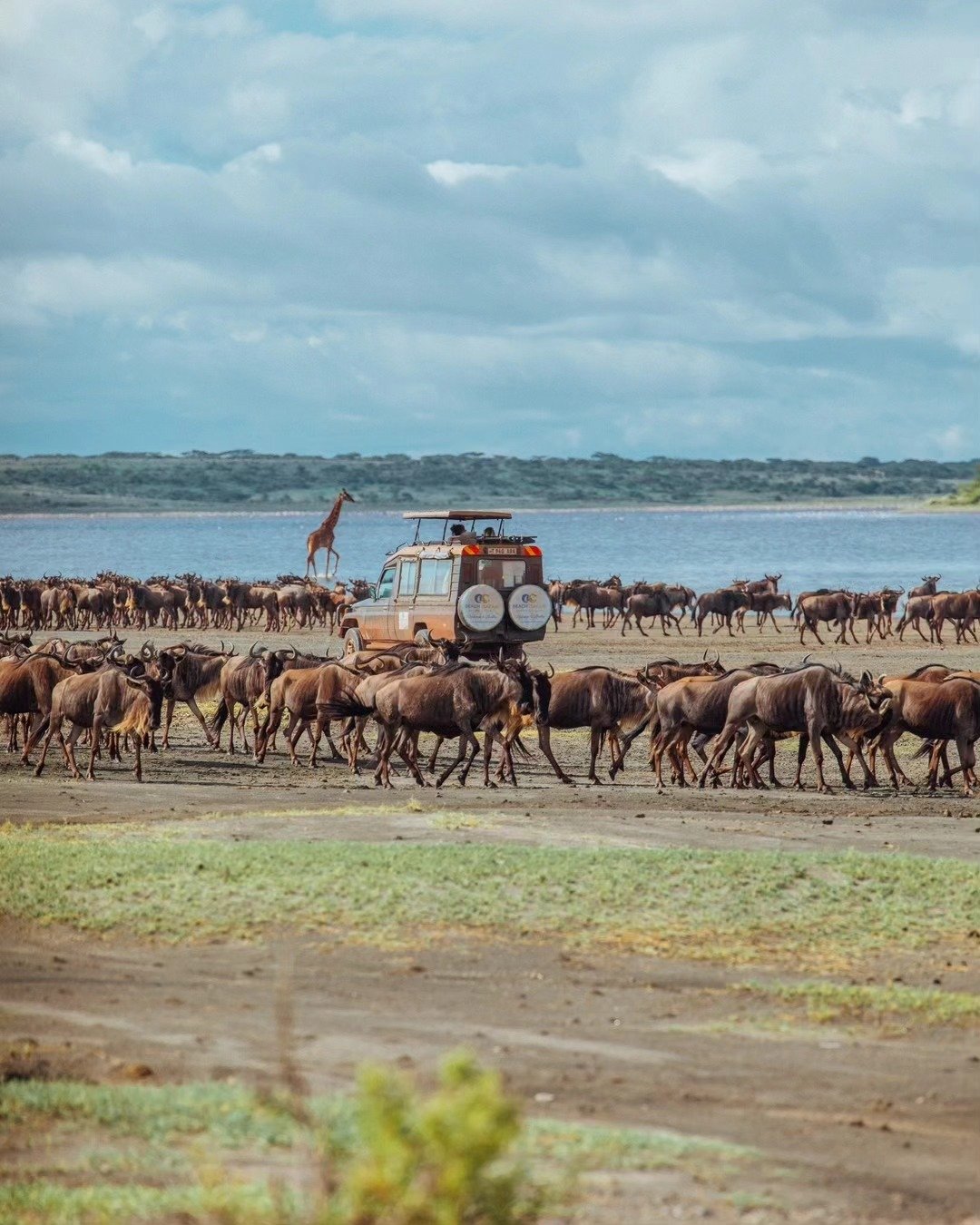 7-Day Tarangire, Lake Natron & Ngorongoro Crater - Image 3