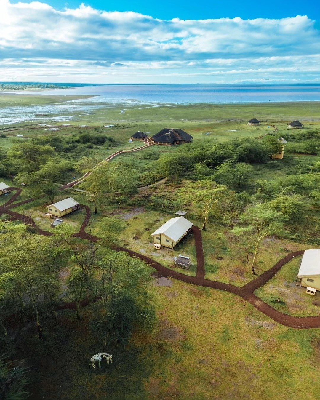 7-Day Tarangire, Lake Natron & Ngorongoro Crater - Image 6