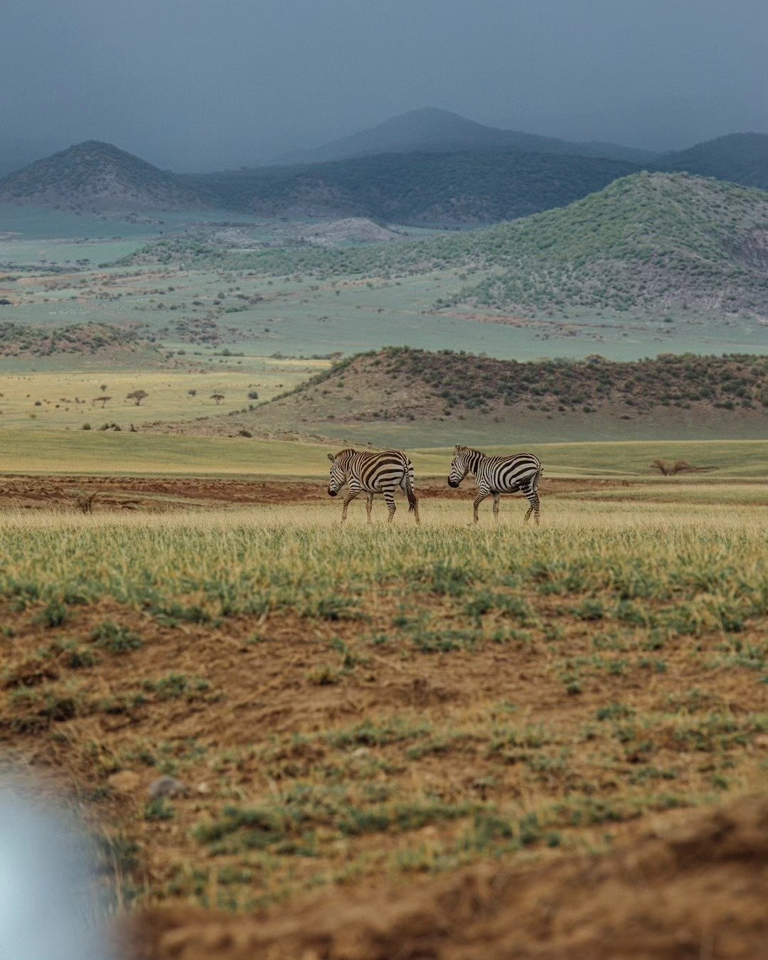 7-Day Tarangire, Lake Natron & Ngorongoro Crater - Image 7